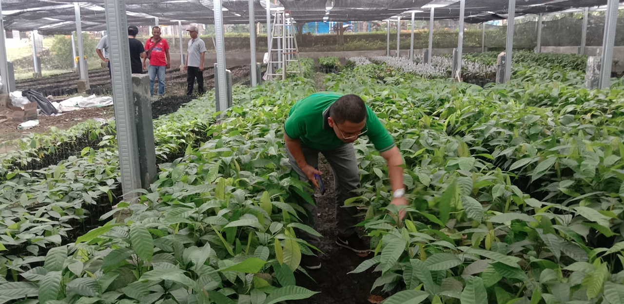 Perkembangan Teknologi Pertanian